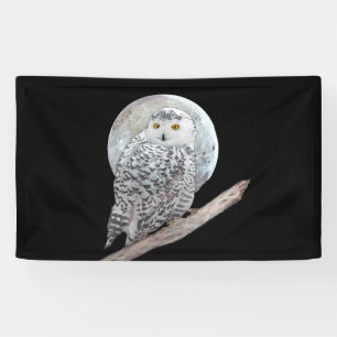 Snowy Owl and Moon Painting - Original Bird Art Banner