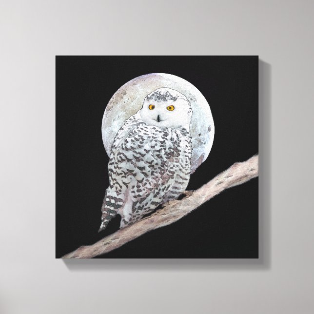 Snowy Owl and Moon Painting - Original Bird Art Canvas Print (Front)