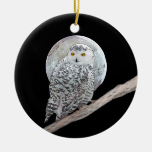 Snowy Owl and Moon Painting - Original Bird Art Ceramic Tree Decoration