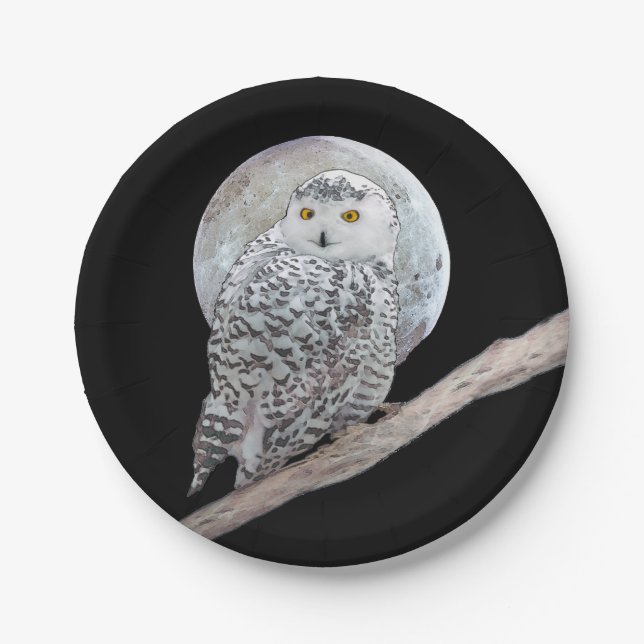 Snowy Owl and Moon Painting - Original Bird Art Paper Plate (Front)