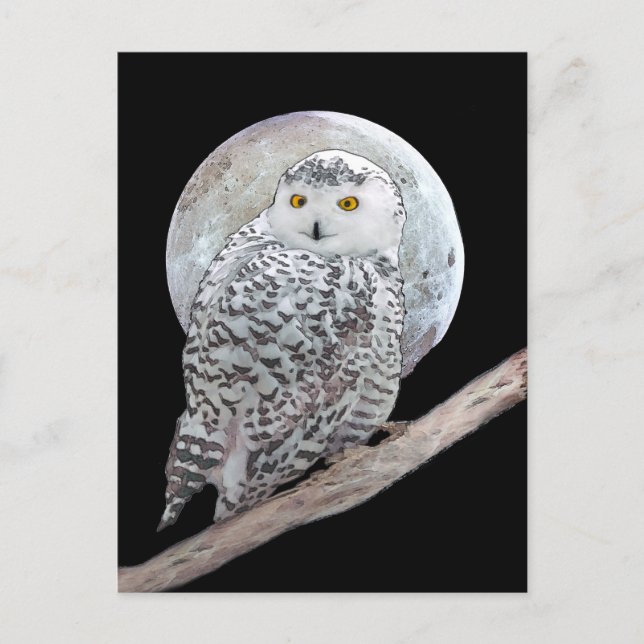 Snowy Owl and Moon Painting - Original Bird Art Postcard (Front)