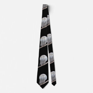 Snowy Owl and Moon Painting - Original Bird Art Tie