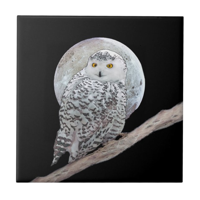 Snowy Owl and Moon Painting - Original Bird Art Tile (Front)