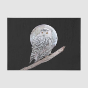 Snowy Owl and Moon Painting - Original Bird Art Tissue Paper