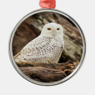Snowy Owl at Christmas Metal Tree Decoration
