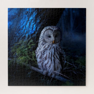Snowy Owl at Night  Jigsaw Puzzle