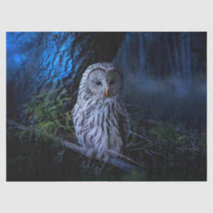Snowy Owl at Night Tissue Paper