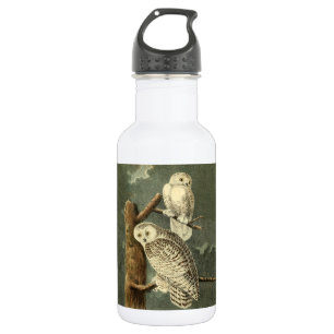 Snowy Owl Audubon Bird Artwork 532 Ml Water Bottle