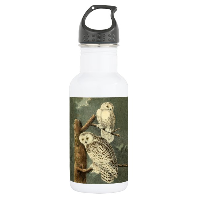 Snowy Owl Audubon Bird Artwork 532 Ml Water Bottle (Front)