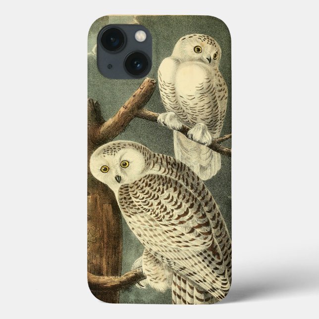 Snowy Owl Audubon Bird Artwork Case-Mate iPhone Case (Back)