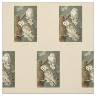 Snowy Owl Audubon Bird Artwork Fabric