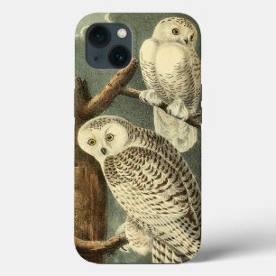 Snowy Owl Audubon Bird Artwork iPhone 13 Case