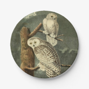 Snowy Owl Audubon Bird Artwork Paper Plate