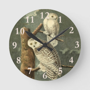 Snowy Owl Audubon Bird Artwork Round Clock