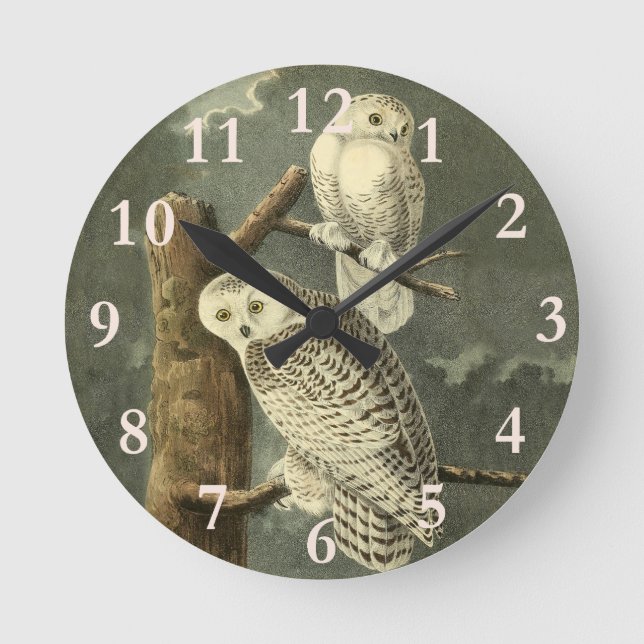 Snowy Owl Audubon Bird Artwork Round Clock (Front)