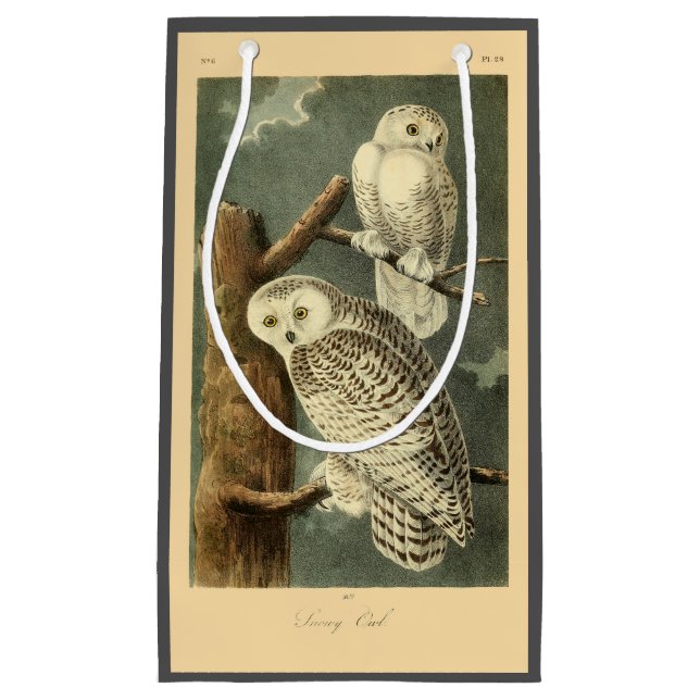 Snowy Owl Audubon Bird Artwork Small Gift Bag (Front)