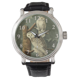 Snowy Owl Audubon Bird Artwork Watch