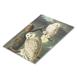 Snowy Owl - Audubon Fine Vintage Birds America Notepad