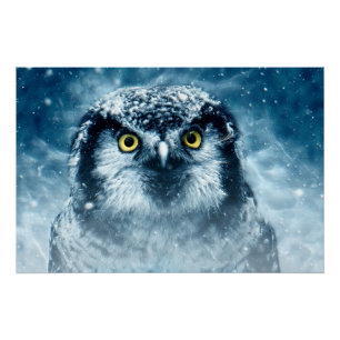 Snowy Owl Big Eyes Poster