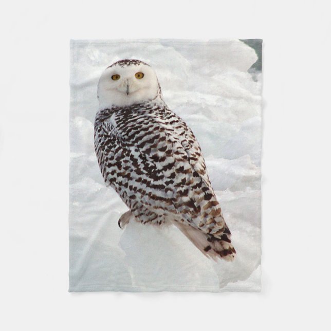 Snowy Owl blanket (Front)