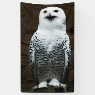 Snowy Owl bnrm Banner