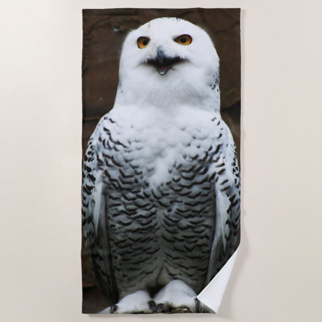 Snowy Owl btm Beach Towel (Front)