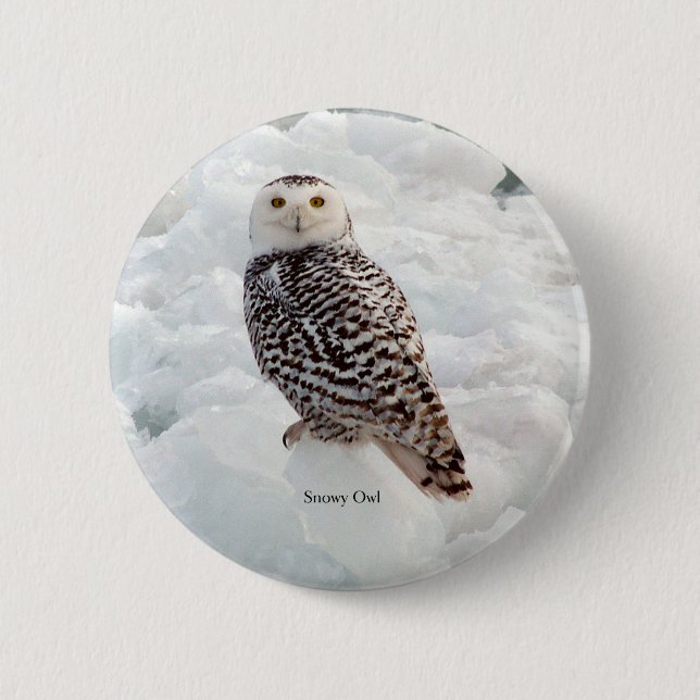 Snowy Owl button (Front)