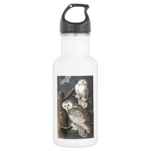 Snowy Owl by Audubon 532 Ml Water Bottle