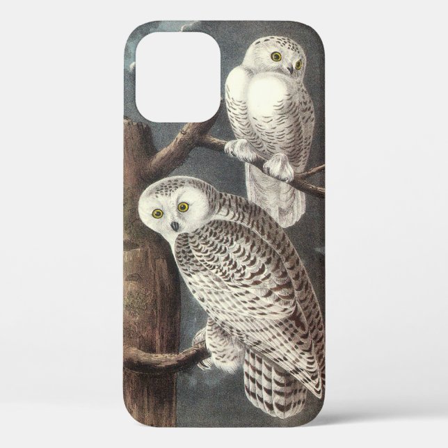 Snowy Owl by Audubon Case-Mate iPhone Case (Back)