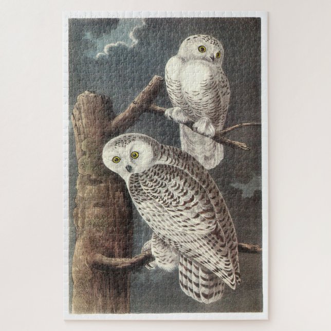 Snowy Owl by Audubon Jigsaw Puzzle (Vertical)
