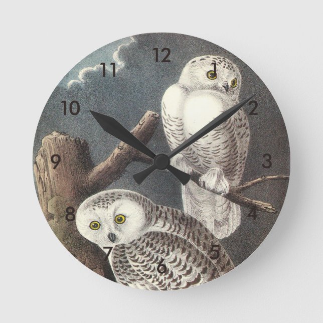 Snowy Owl by Audubon Round Clock (Front)