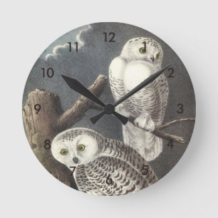 Snowy Owl by Audubon Round Clock