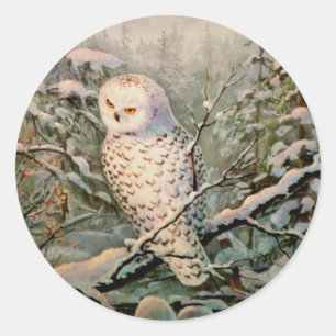 SNOWY OWL by SHARON SHARPE Classic Round Sticker