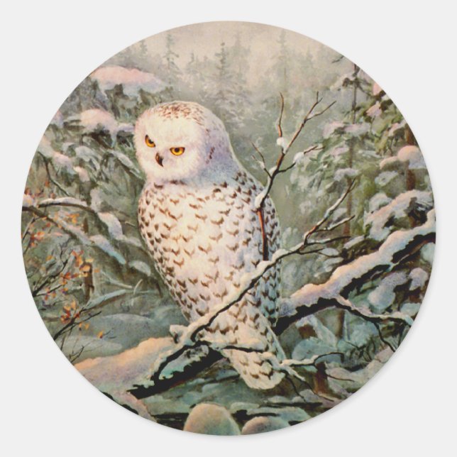 SNOWY OWL by SHARON SHARPE Classic Round Sticker (Front)