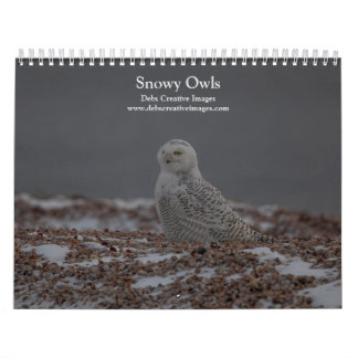 Snowy Owl Calendar 2026