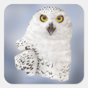 Snowy Owl Caricature Square Sticker