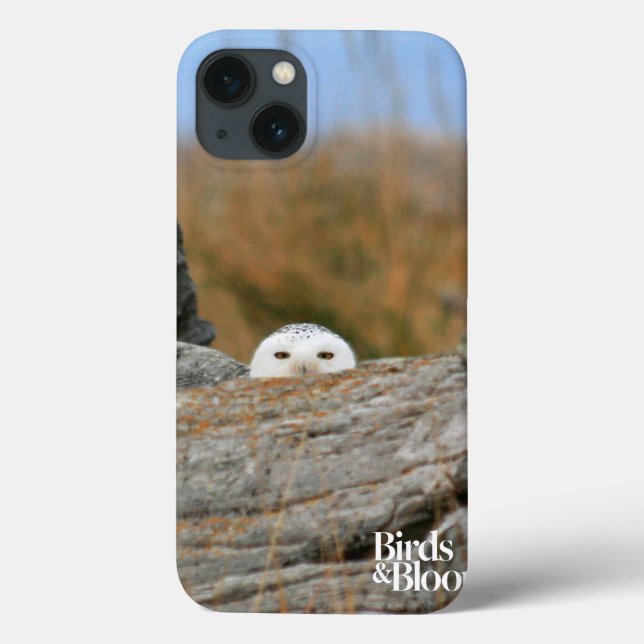 Snowy Owl Case-Mate iPhone Case (Back)