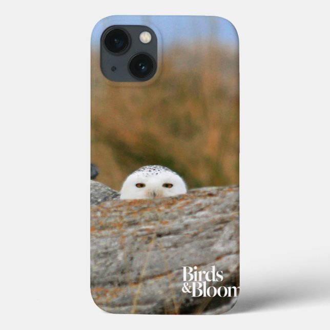 Snowy Owl Case-Mate iPhone Case (Back)