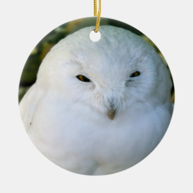 Snowy Owl Ceramic Tree Decoration (Front)