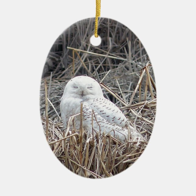 snowy owl ceramic tree decoration (Front)