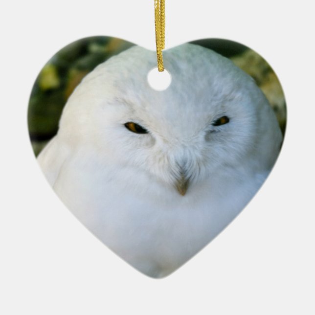 Snowy Owl Ceramic Tree Decoration (Front)