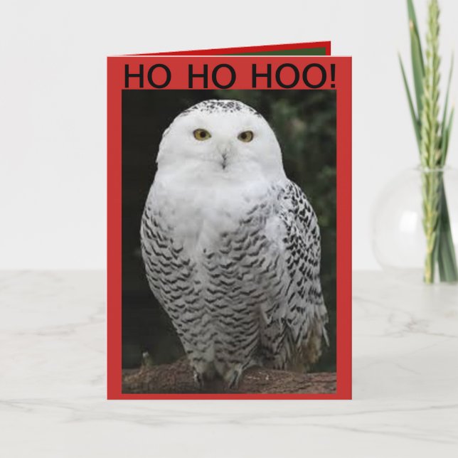 Snowy Owl Christmas card (Front)