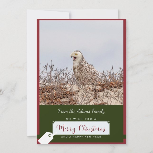 Snowy Owl Christmas Card (Front)