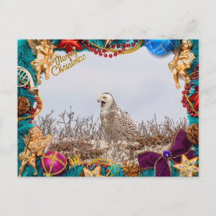 Snowy Owl Christmas Card