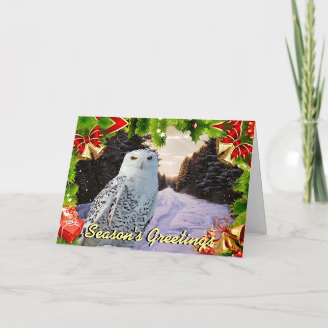 Snowy owl Christmas card (Front)