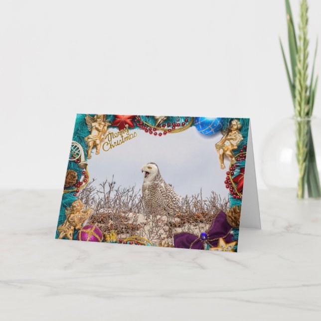 Snowy Owl Christmas Card (Front)