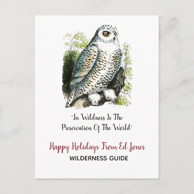 Snowy Owl Christmas Holiday Postcard (Front)