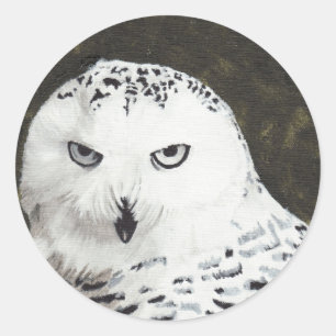 Snowy Owl Classic Round Sticker