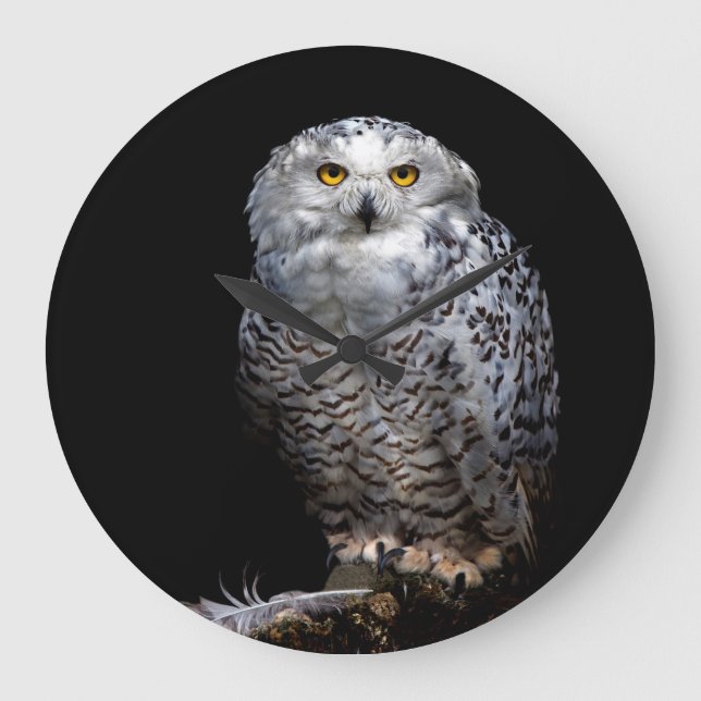 Snowy Owl clock (Front)