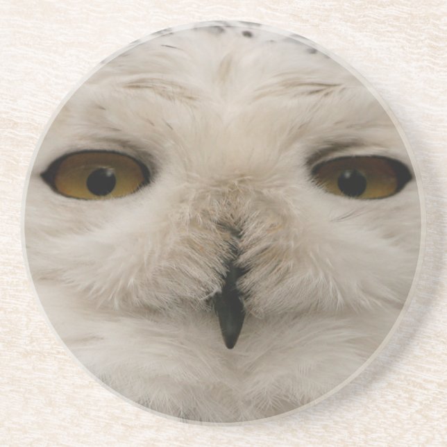 Snowy Owl Coaster (Front)